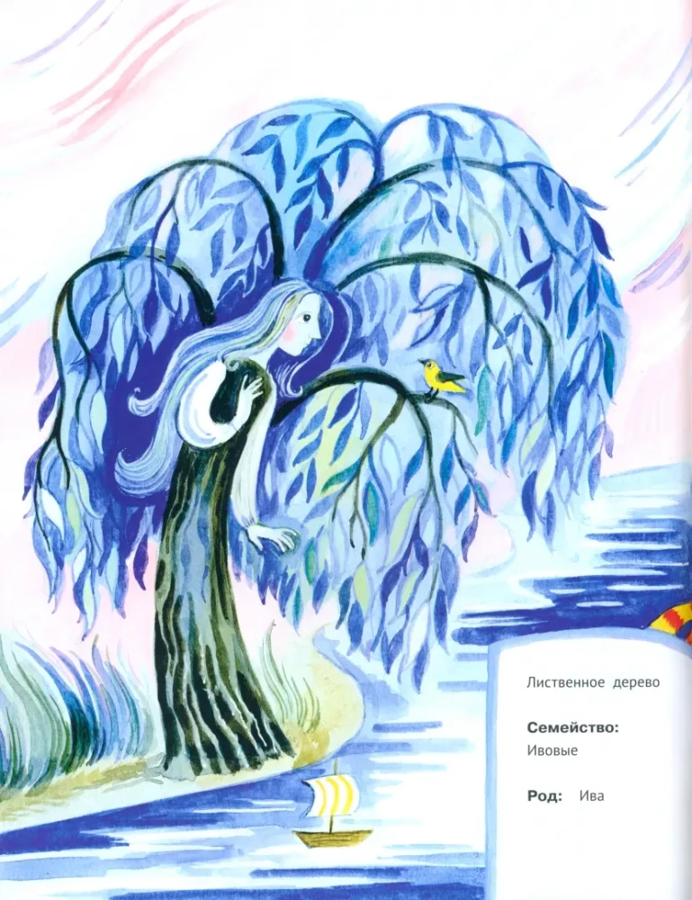 The Trees of Our Forests