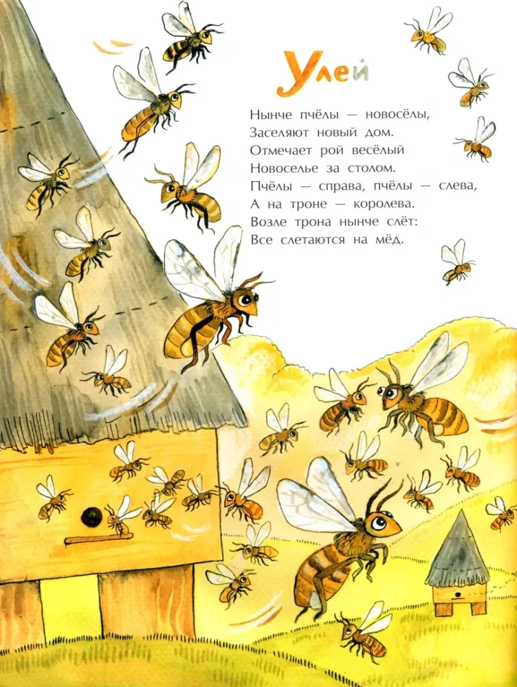 Nests, Burrows and Dens