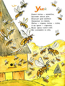 Nests, Burrows and Dens