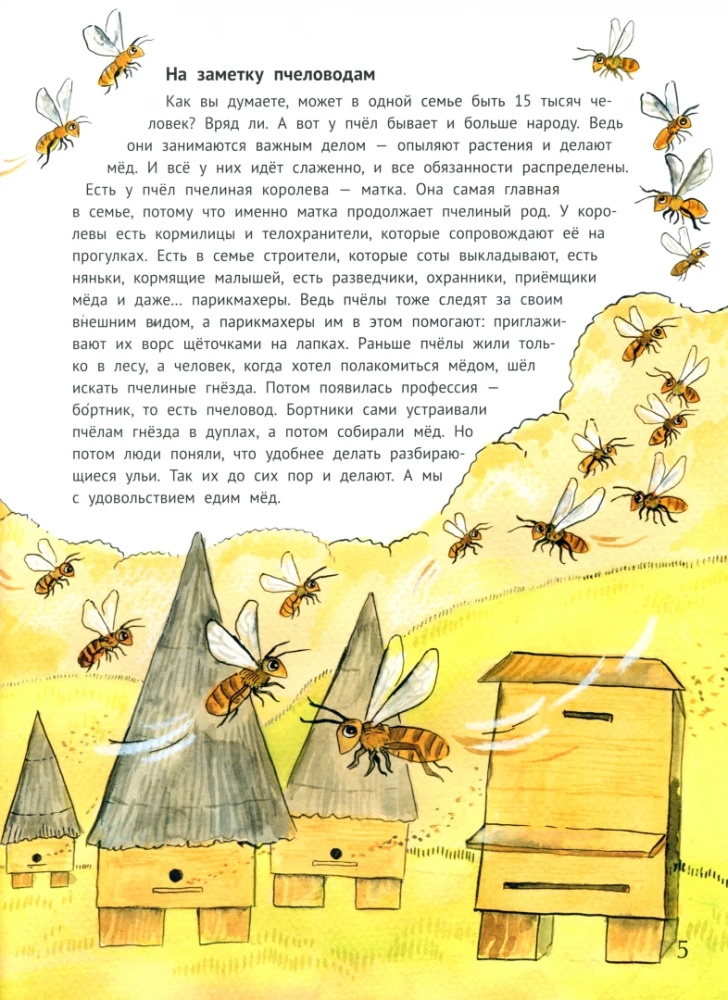 Nests, Burrows and Dens