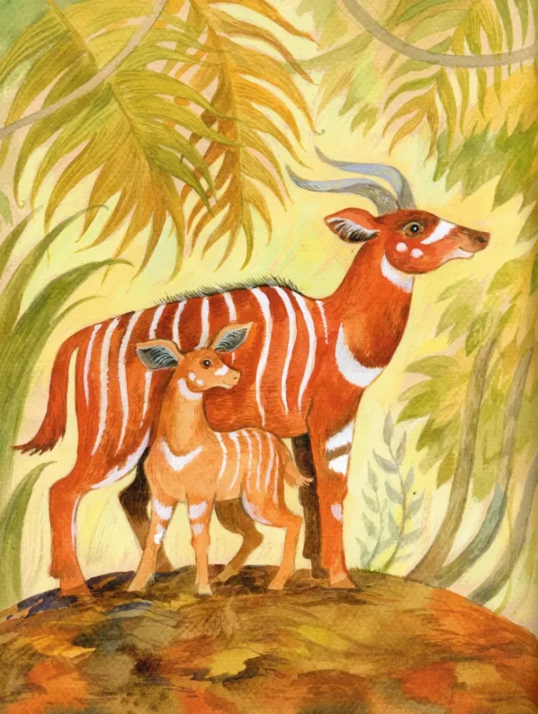 Extraordinary Animals