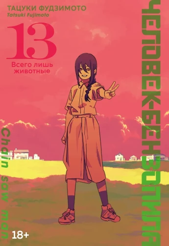 Chainsaw Man. Vol. 13