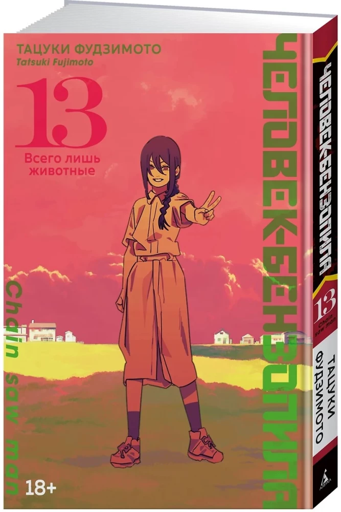 Chainsaw Man. Vol. 13