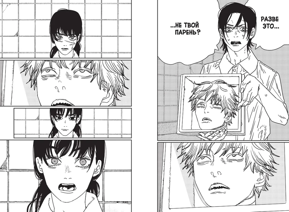 Chainsaw Man. Vol. 13