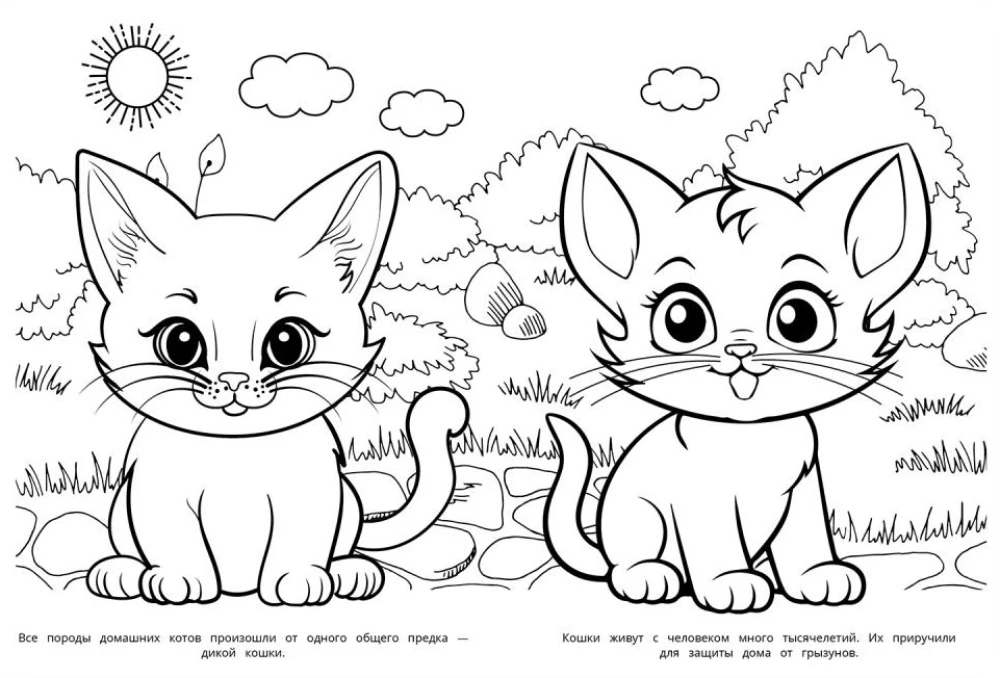 Kittens. Coloring Book