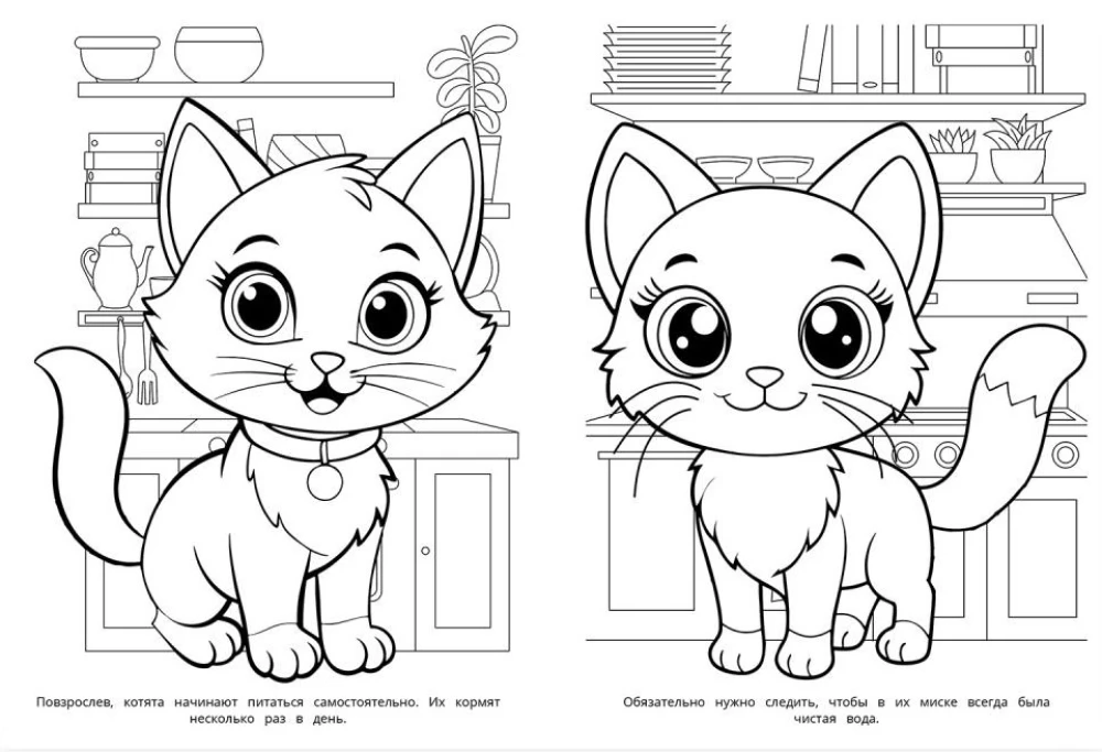 Kittens. Coloring Book