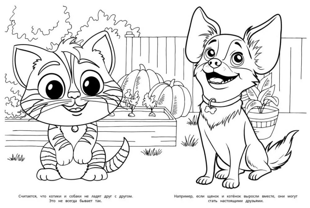 Kittens. Coloring Book