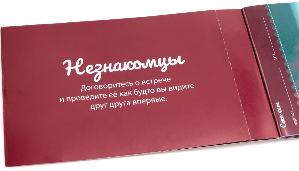 Board Game - Checkbook of Passionate Wishes 18+