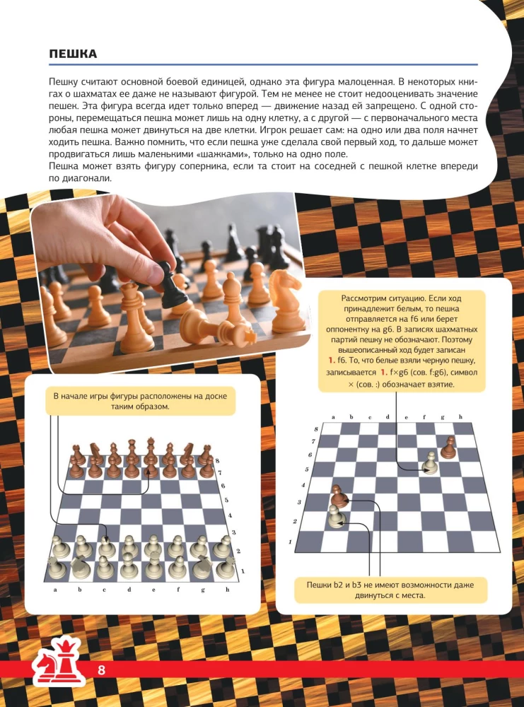 Chess. The Big Encyclopedia