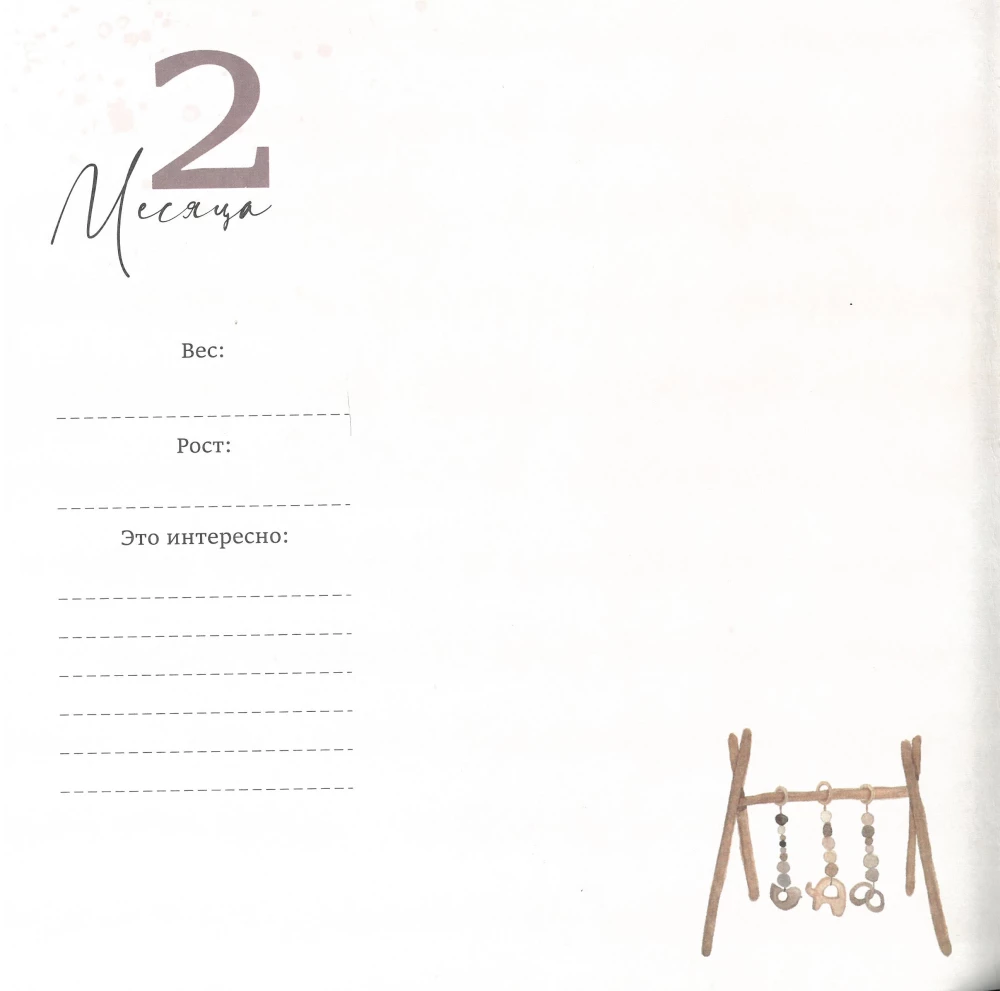 Children's album - Bears, light beige