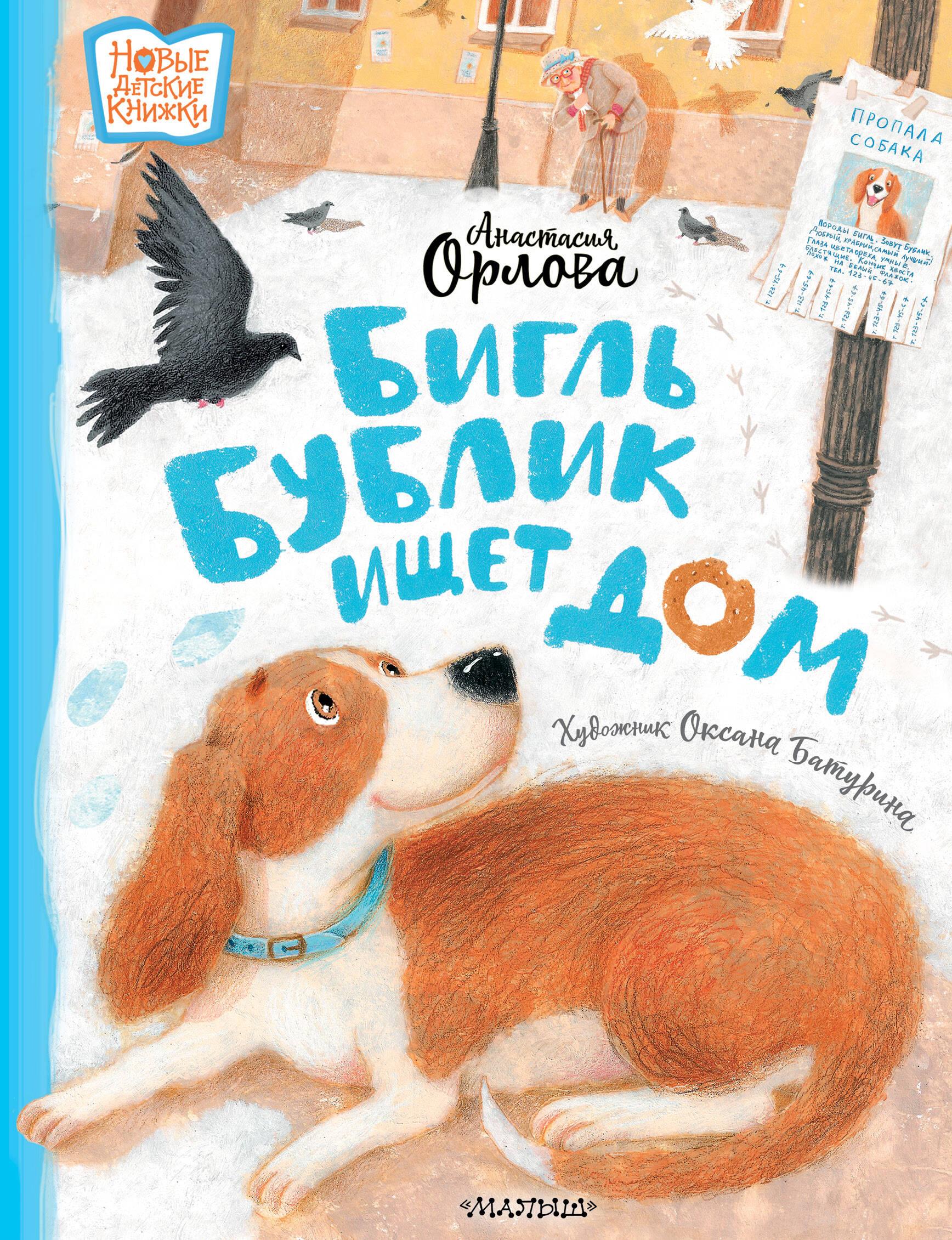 Beagle Bublik szuka domu