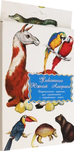 Karty dydaktyczne - Zwierzęta Ameryki Południowej