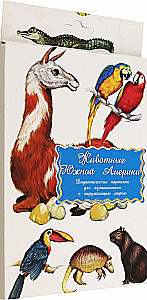 Karty dydaktyczne - Zwierzęta Ameryki Południowej