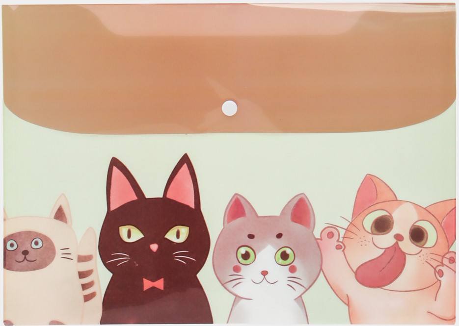 Kancelejas mapes - Kaķīši, plastmasas, ar pogu, dažādībā