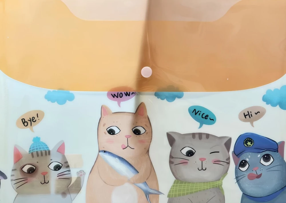 Folder biurowa - Kotki, plastikowa, na zapięcie, w asortymencie