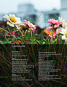 Balcony Gardens. A Personal Therapeutic Garden in the Concrete Jungle - Balconies, Terraces, Verandas, and Roofs