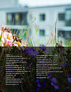 Balcony Gardens. A Personal Therapeutic Garden in the Concrete Jungle - Balconies, Terraces, Verandas, and Roofs