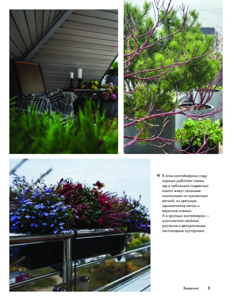 Balcony Gardens. A Personal Therapeutic Garden in the Concrete Jungle - Balconies, Terraces, Verandas, and Roofs