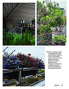 Balcony Gardens. A Personal Therapeutic Garden in the Concrete Jungle - Balconies, Terraces, Verandas, and Roofs