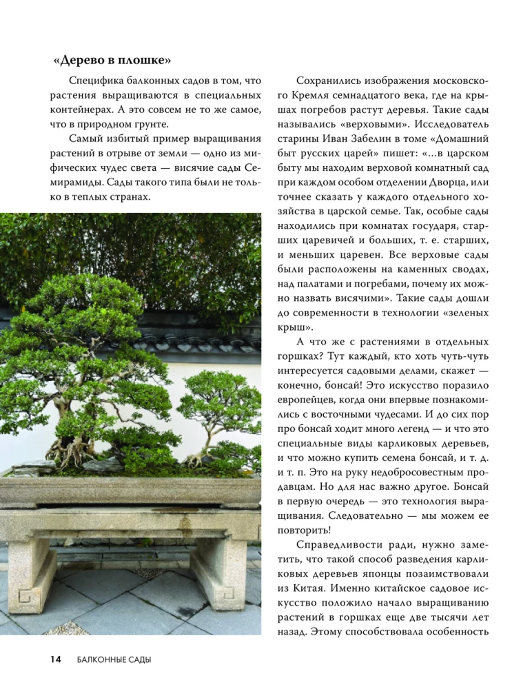 Balcony Gardens. A Personal Therapeutic Garden in the Concrete Jungle - Balconies, Terraces, Verandas, and Roofs