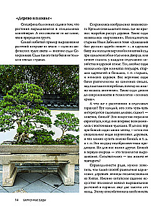 Balcony Gardens. A Personal Therapeutic Garden in the Concrete Jungle - Balconies, Terraces, Verandas, and Roofs