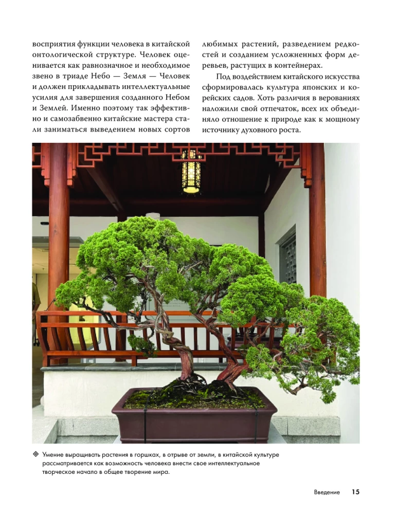 Balcony Gardens. A Personal Therapeutic Garden in the Concrete Jungle - Balconies, Terraces, Verandas, and Roofs