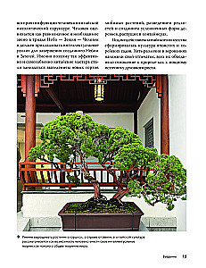 Balcony Gardens. A Personal Therapeutic Garden in the Concrete Jungle - Balconies, Terraces, Verandas, and Roofs