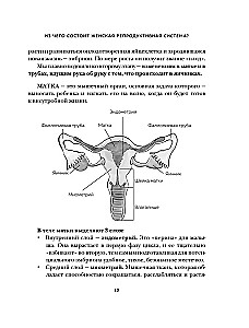 Chcę być zdrowa. Kobiety o normach, bólu, chorobach, leczeniu, hormonach i nie tylko