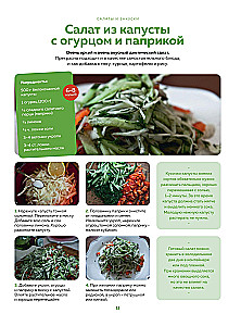 Encyklopedia nowoczesnej rosyjskiej kuchni