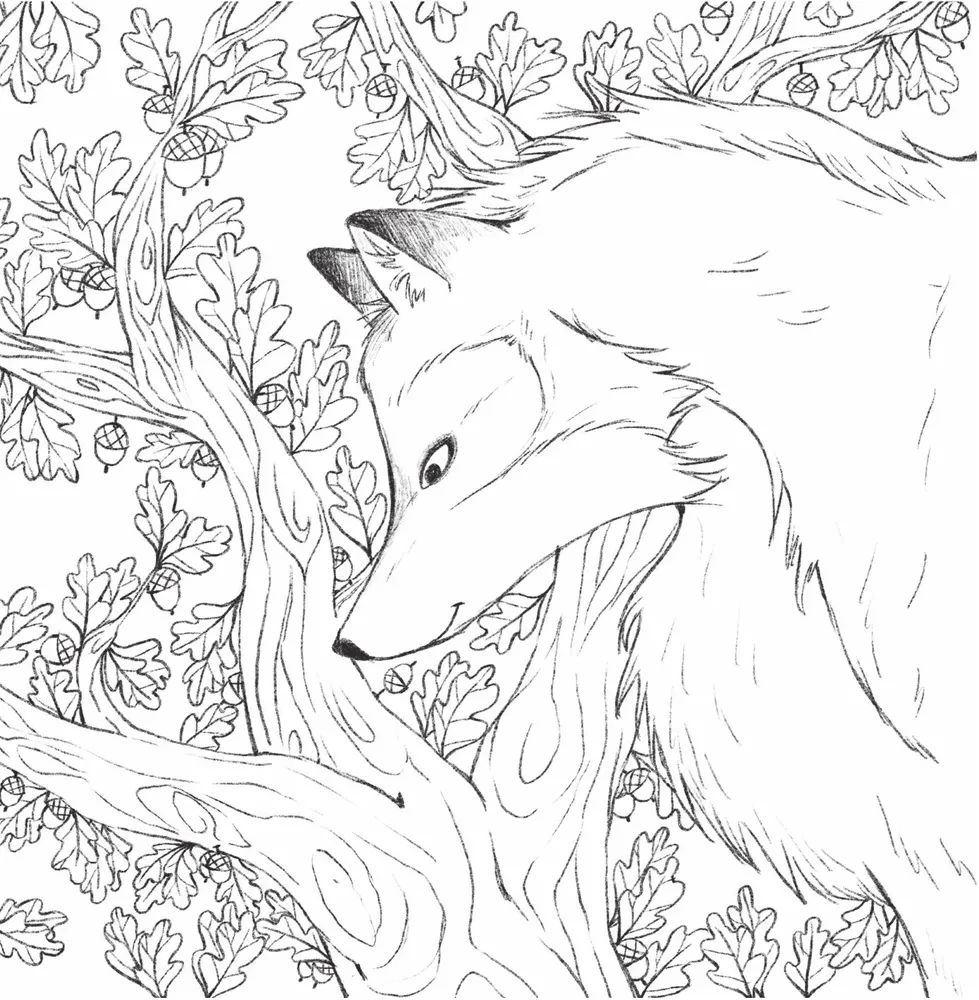 In the Embrace of Nature. Coloring Charming Illustrations of Animals and Birds