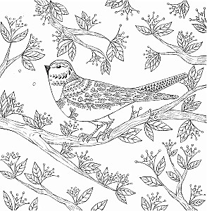 In the Embrace of Nature. Coloring Charming Illustrations of Animals and Birds