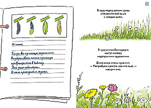 Comics with Connie. Caterpillar's Diary