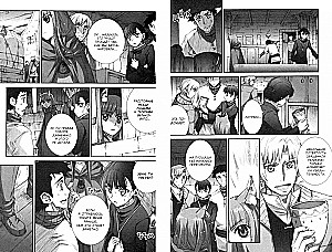 Wolf and Spice. Volume 8