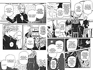 The Bride of the Magus. Volume 11
