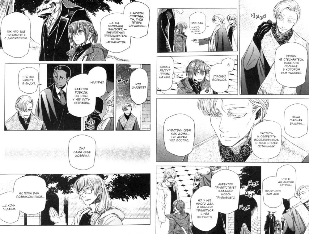 The Bride of the Sorcerer. Volume 10