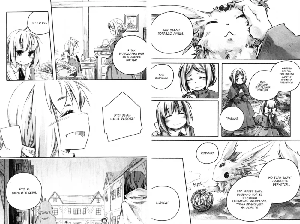 Notes on the Treatment of Magical Beasts. Volume 3