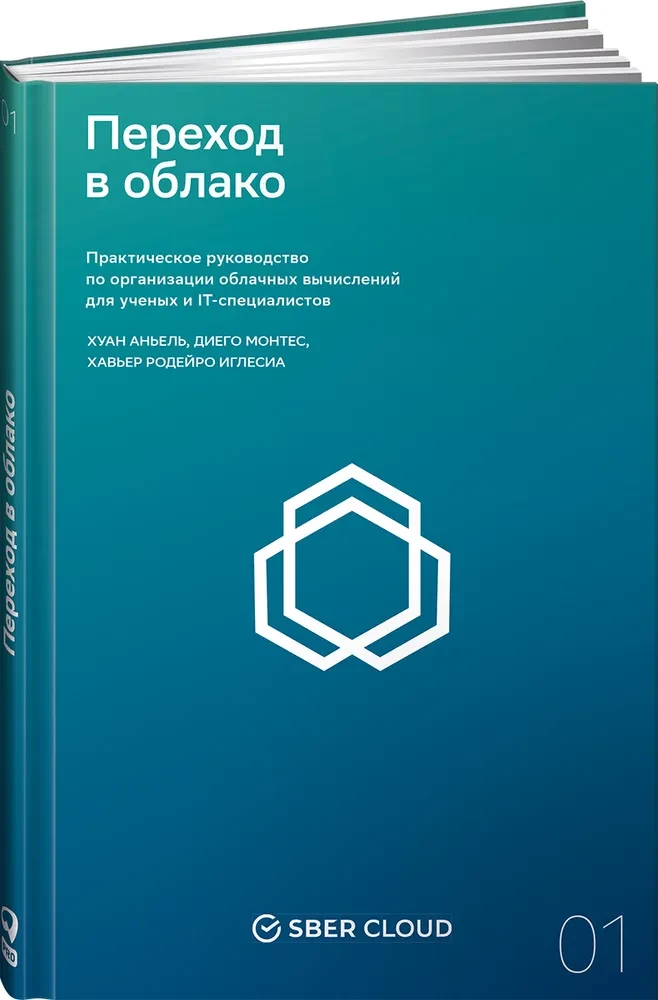 Transition to the Cloud. A Practical Guide to Organizing Cloud Computing for Scientists and IT Professionals