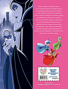 Sleeping Beauty. Graphic Novel