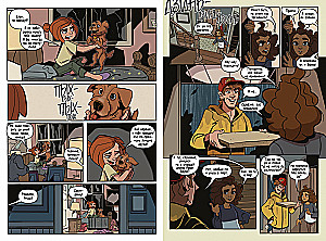 Disaster in Raven Brooks. Graphic Novel