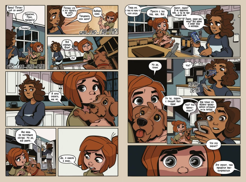 Disaster in Raven Brooks. Graphic Novel