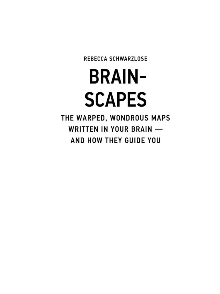 Landscapes of the Brain
