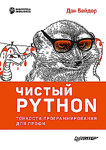 Clean Python. Programming Insights for Pros