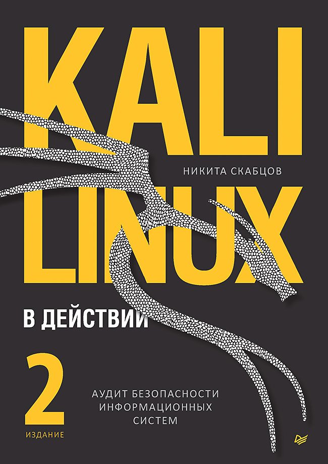 Kali Linux in Aktion. Sicherheitsüberprüfung von Informationssystemen