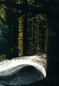 Tibetan Folk Tales