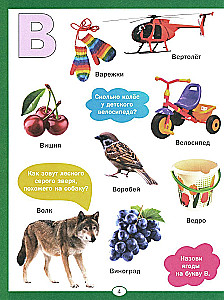 Alphabet and Counting for Toddlers
