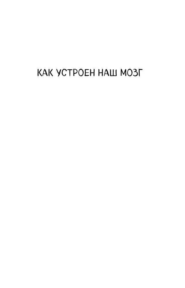 Автостопом по мозгу. Когда вся вселенная у тебя в голове