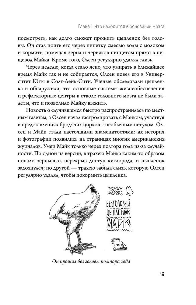 Автостопом по мозгу. Когда вся вселенная у тебя в голове