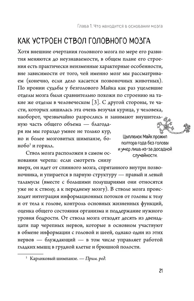 Автостопом по мозгу. Когда вся вселенная у тебя в голове