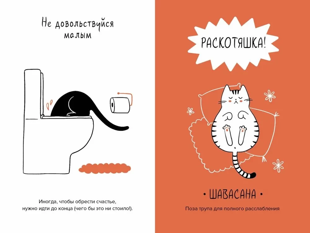 The Cat is the Head of Everything. Cat Wisdoms for a Stress-Free Life