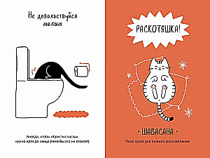 The Cat is the Head of Everything. Cat Wisdoms for a Stress-Free Life